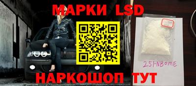 гидра Будённовск
