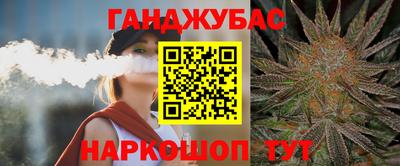 гидра Будённовск