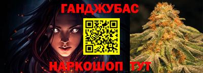 гидра Будённовск
