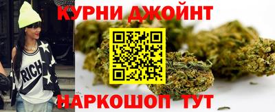 гидра Будённовск