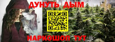 гидра Будённовск
