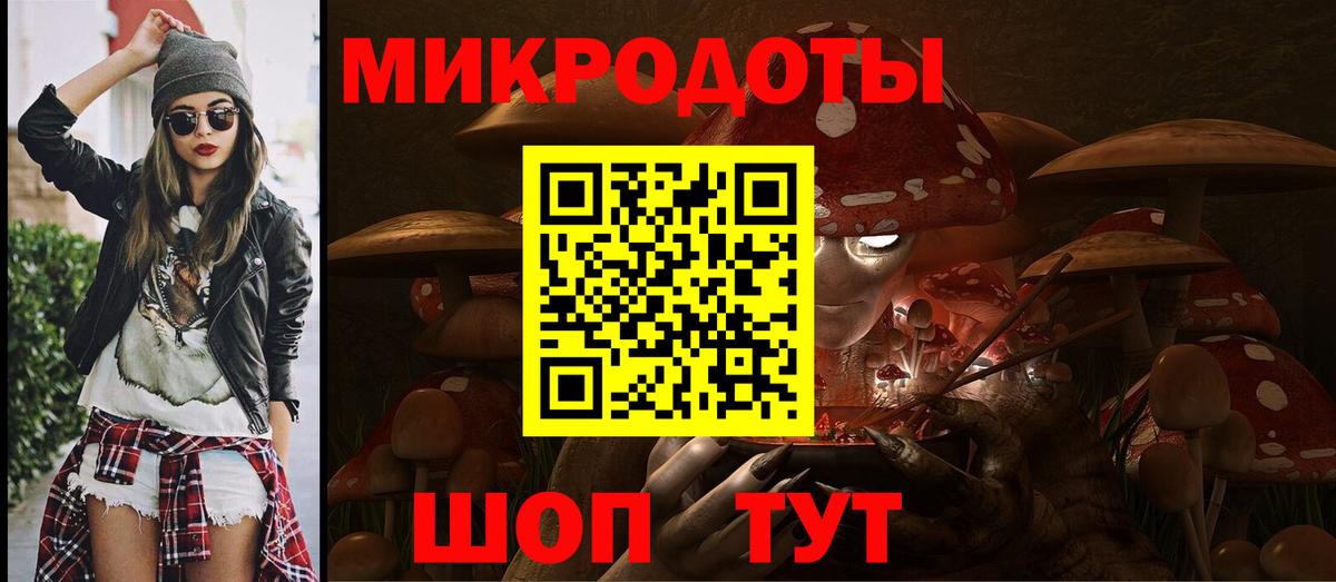 Галлюциногенные грибы Psilocybe Прокопьевск